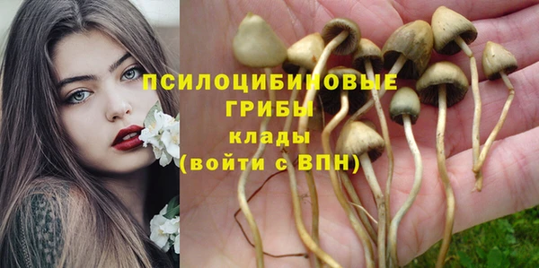 MESCALINE Армянск
