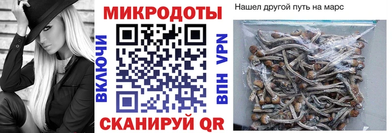 хочу   Осташков  Псилоцибиновые грибы мицелий 